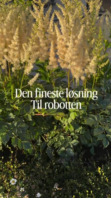Kreativ for Stålhaven